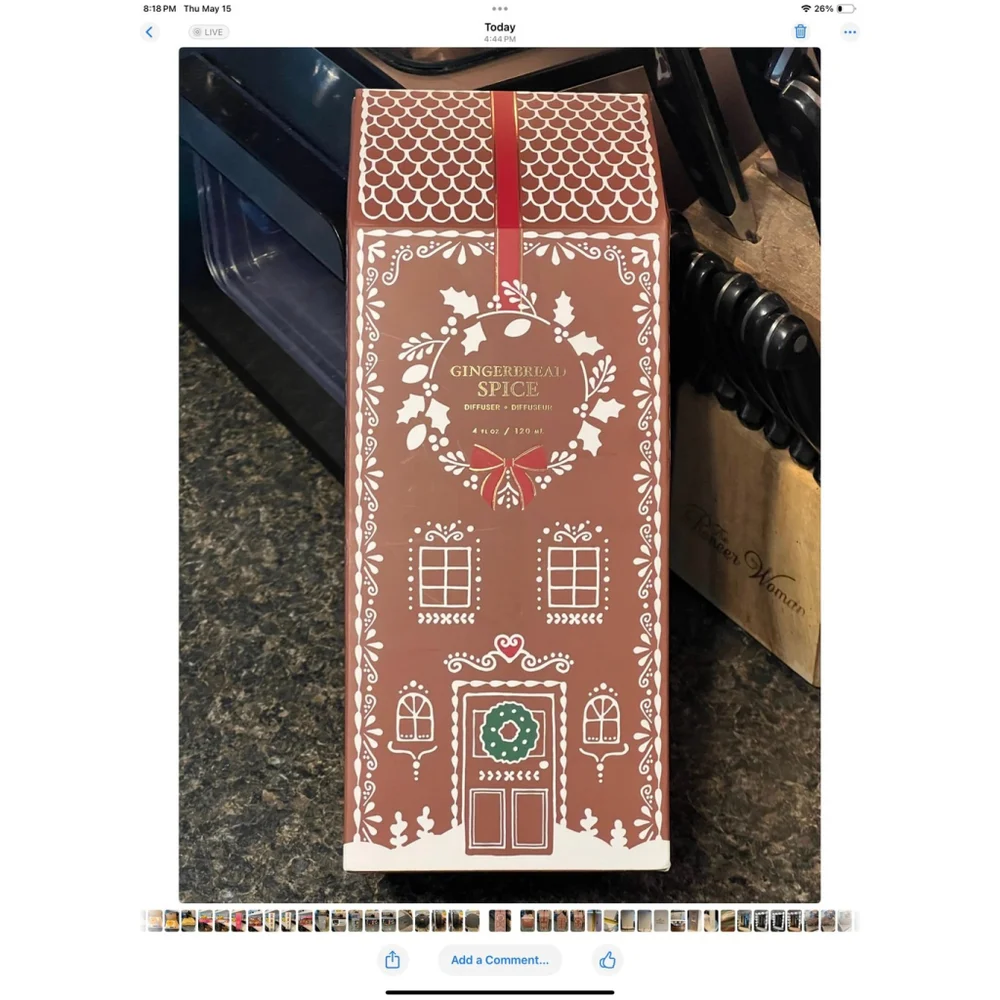 New Pottery Barn Figural Gingerbread Scent House Diffuser